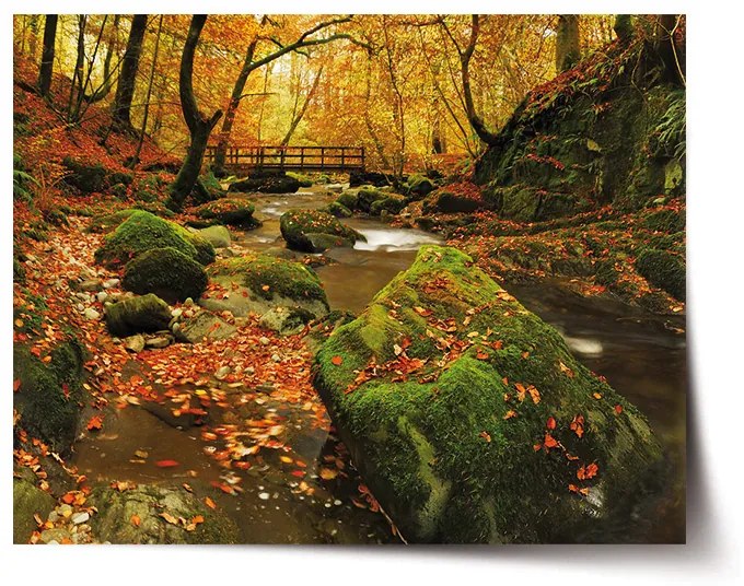 Sablio Plagát Most v lese - 90x60 cm
