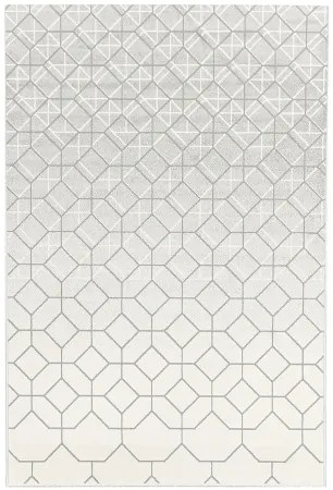 Koberce Breno Kusový koberec TERRA 07/VGS, viacfarebná,80 x 150 cm