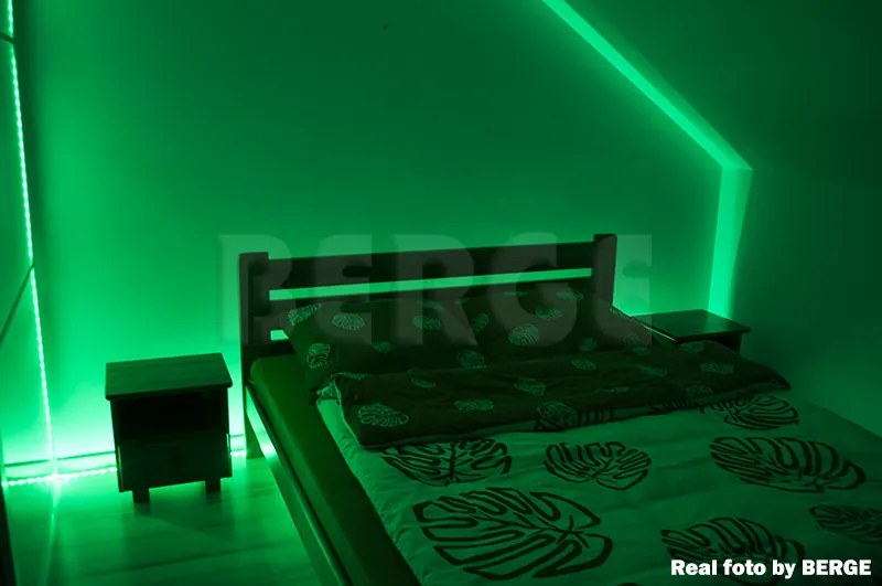 ECOLIGHT LED pásik - SMD 2835 - 5m - 60LED/m - 4,8 W/m - zelený - IP65 - s konektorom