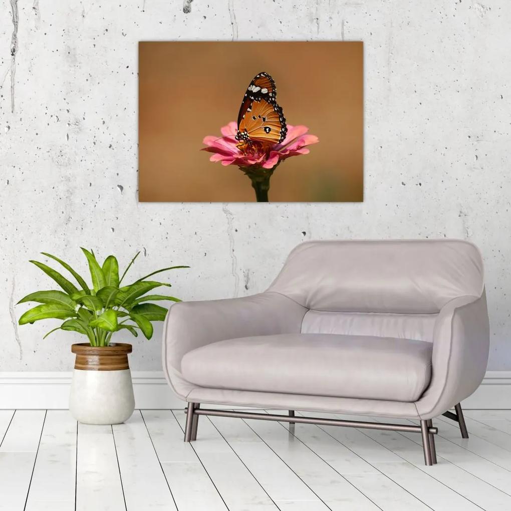 Sklenený obraz motýľa na kvetine (70x50 cm)