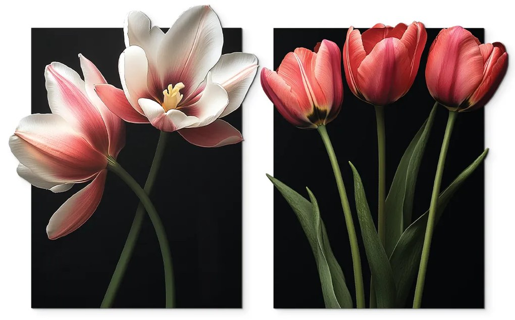 drevko | Dvojdielny obraz Romantické tulipány 45 x 74 cm