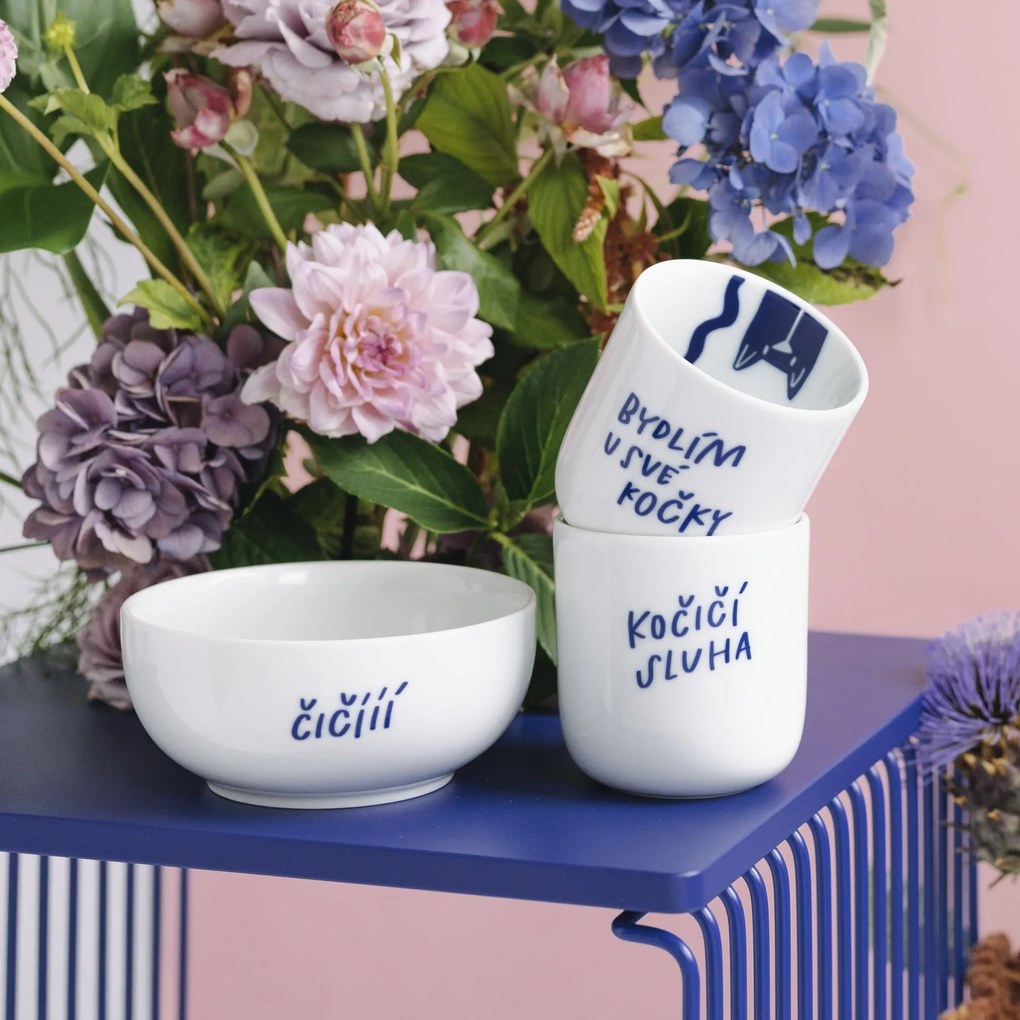 Bella Rose Porcelánový hrnček Bydlím u své kočky 270 ml