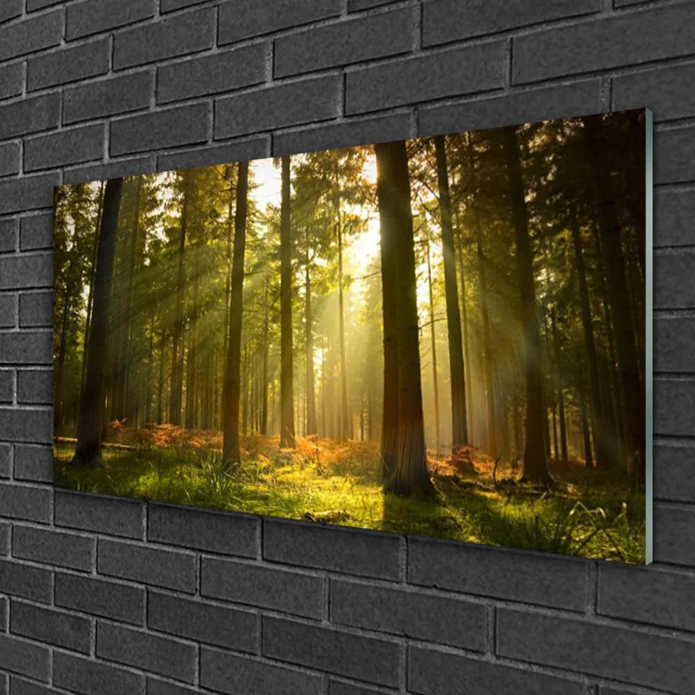 Obraz na skle Les príroda 120x60 cm