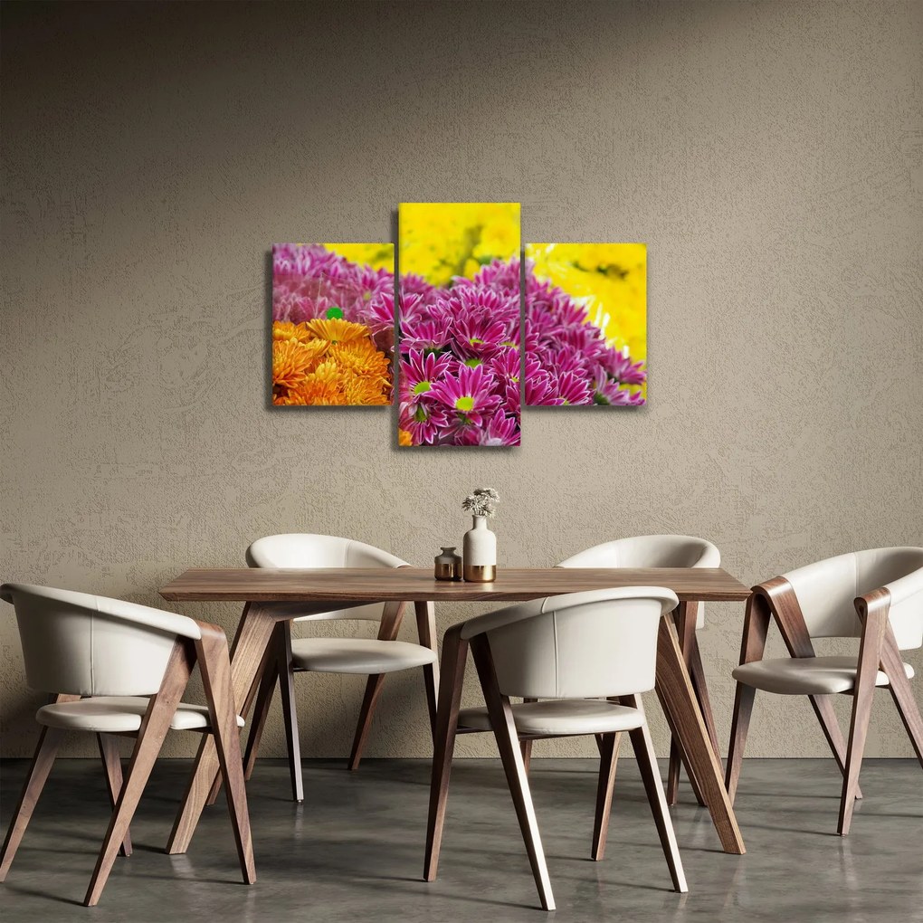 Obraz ružového kvetu (90x60 cm)
