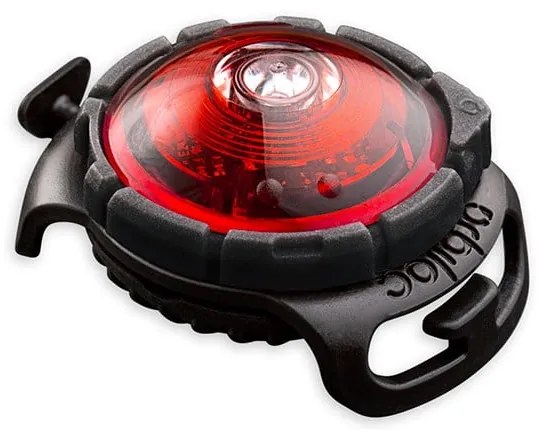 LED svetlo na obojok Red – Orbiloc