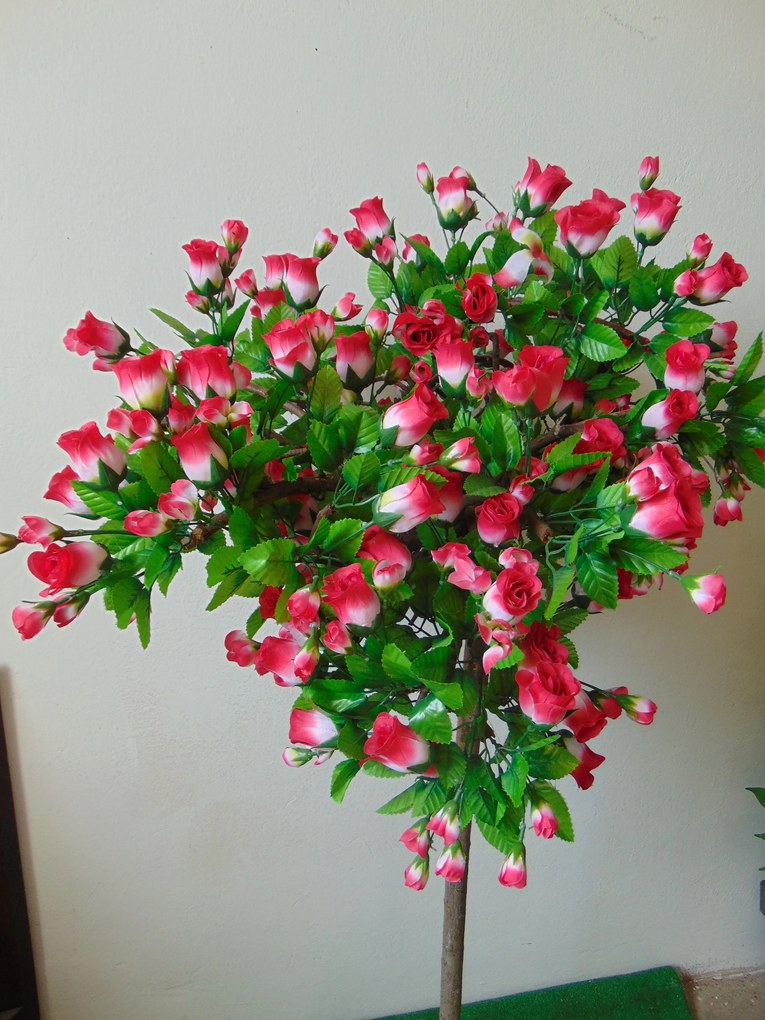 Kvitnúci strom- ruža 150cm