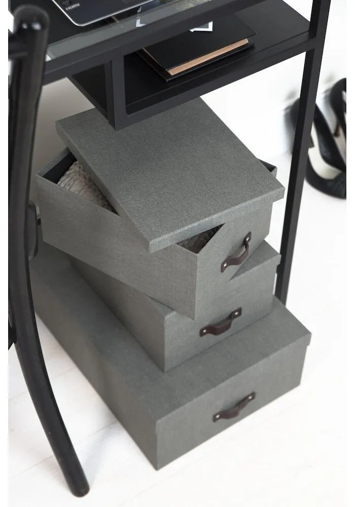 Úložné boxy s vekom v súprave 3 ks Inge – Bigso Box of Sweden