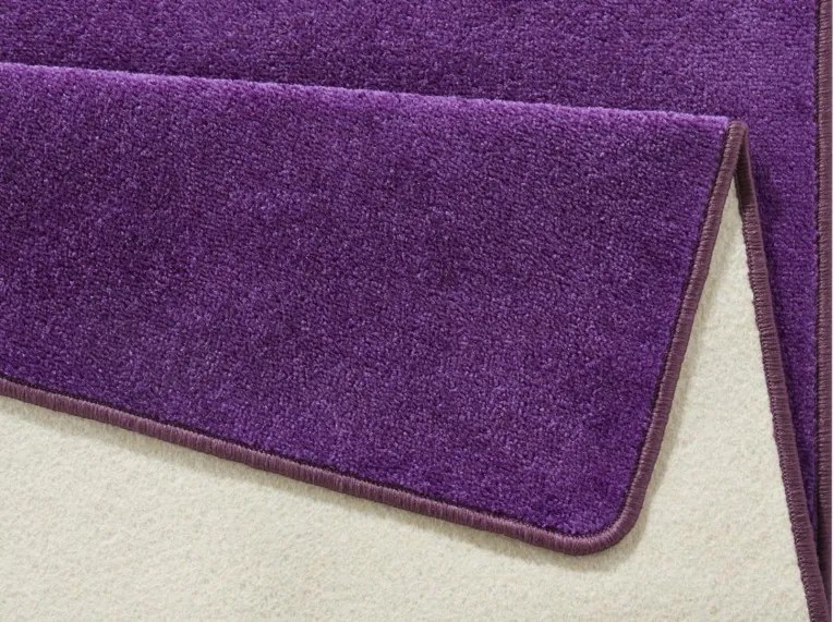 DOPREDAJ: 80x300 cm Kusový koberec Fancy 103005 Lila - fialový, 80x300, fialová, obývacia izba, Hanse Home