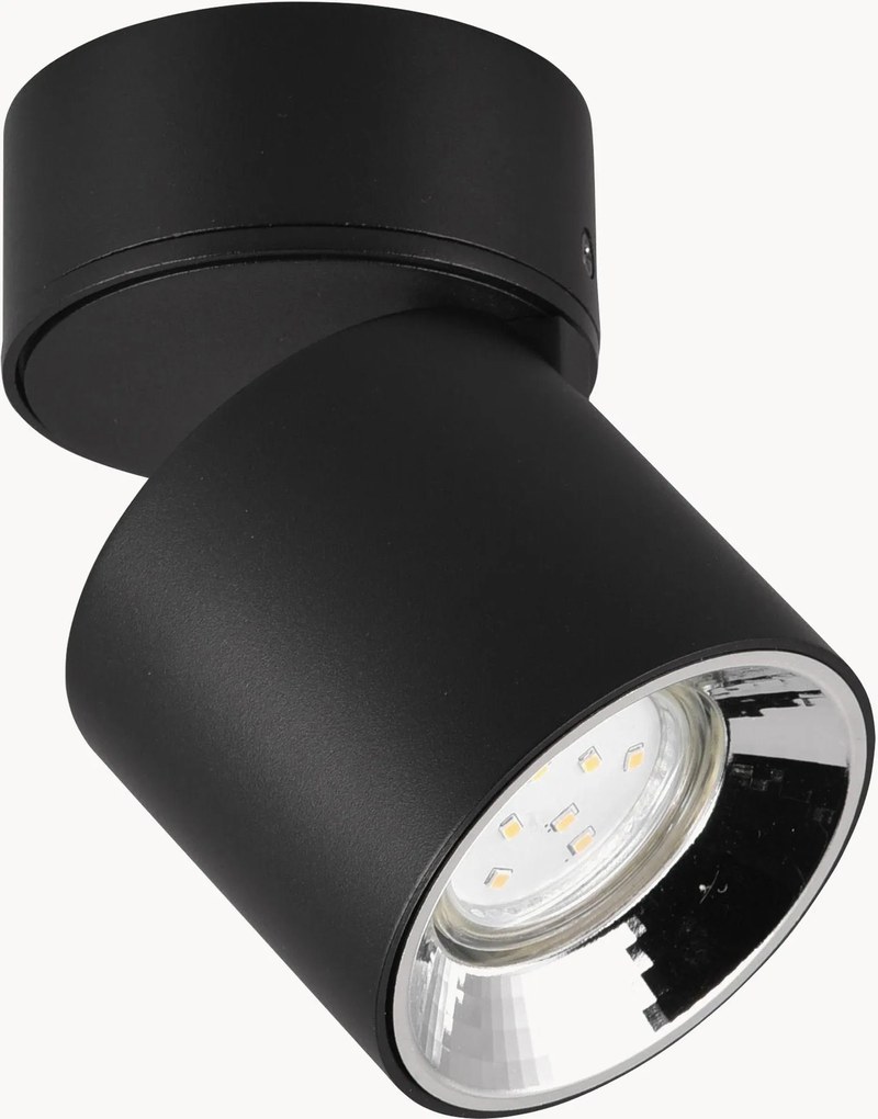 Stropné bodové svietidlo Guayana