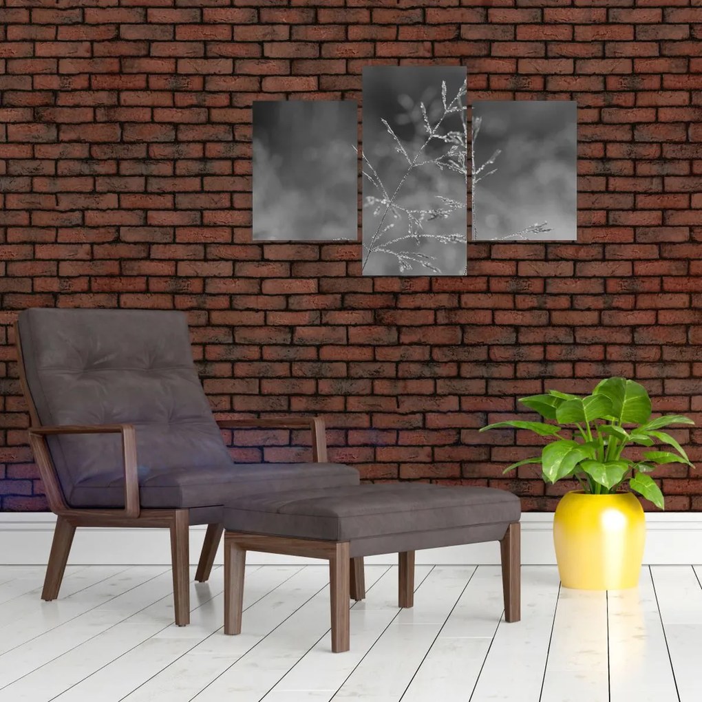 Obraz - Vidiecka lúka (90x60 cm)