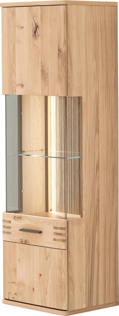 XXXLutz ZÁVESNÁ VITRÍNA, farba duba, 45/149/37 cm Livetastic - Sklenené vitríny - 001700020308