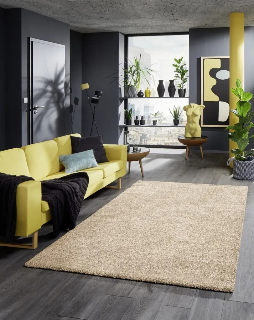 Koberec Shaggy 120x170 cm, béžový