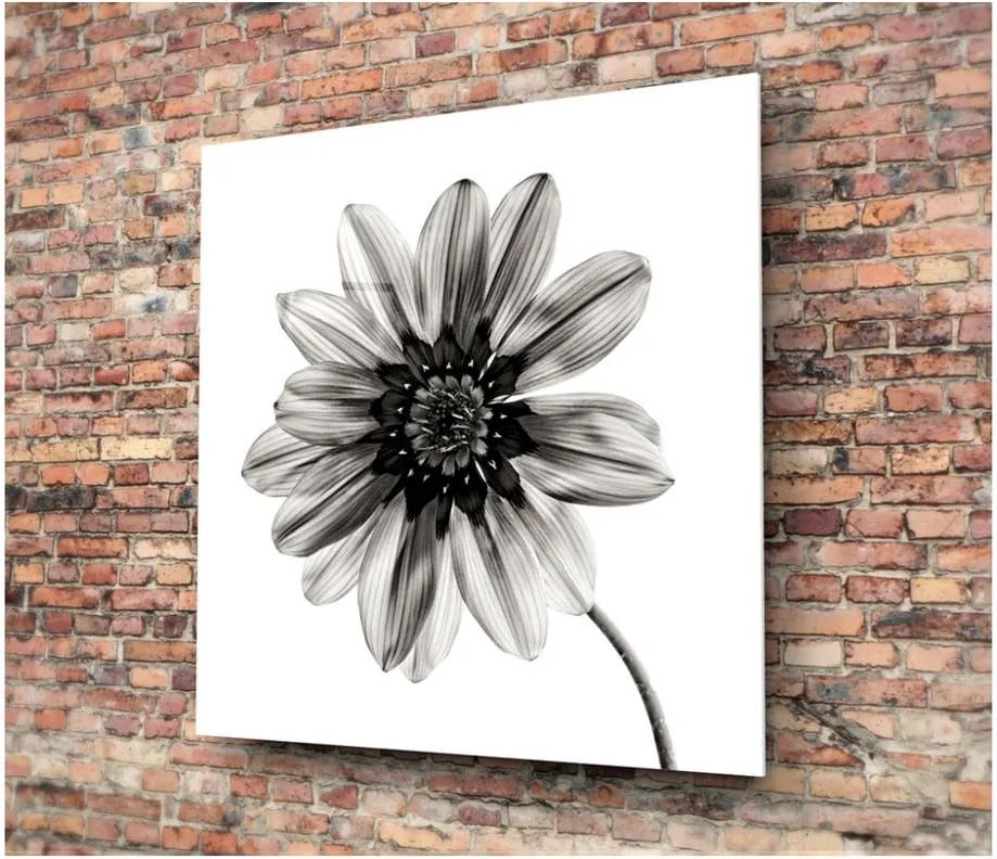 Čierno-biely sklenený obraz Insigne Flower, 30 × 30 cm