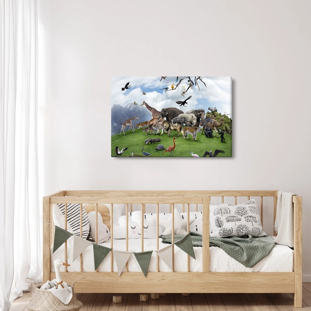 Obraz - Zvieratká na ostrove (90x60 cm)