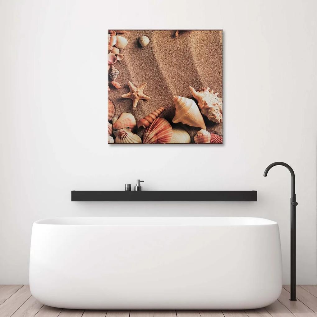 Obraz na plátně Mušle Mořský písek - 50x50 cm
