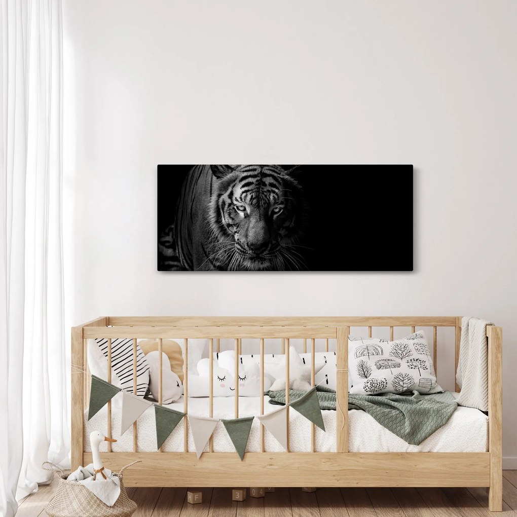 Obraz divokého tigra (120x50 cm)