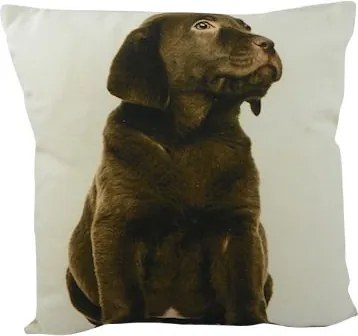 Béžový vankúš štvorcový s hnedým labradorom - 33 * 10 * 33cm