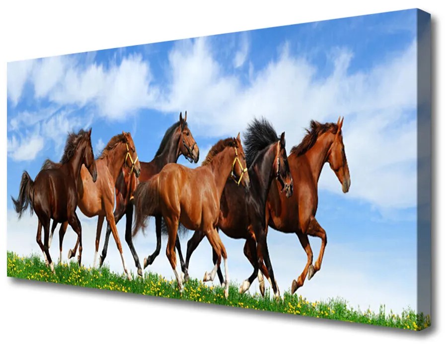Obraz Canvas Cválajúci kone na pastvine 140x70 cm