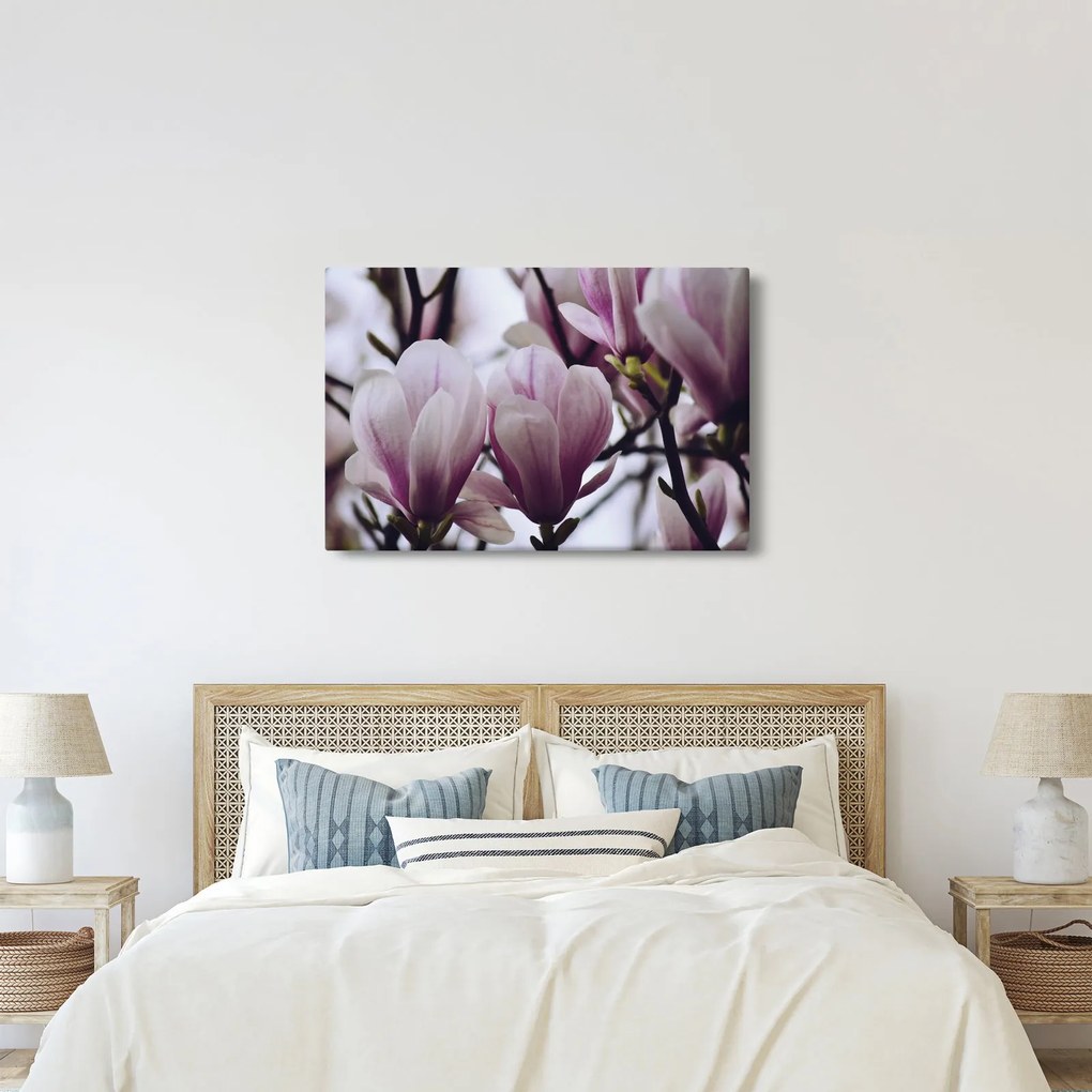 Obraz - Magnolie (90x60 cm)