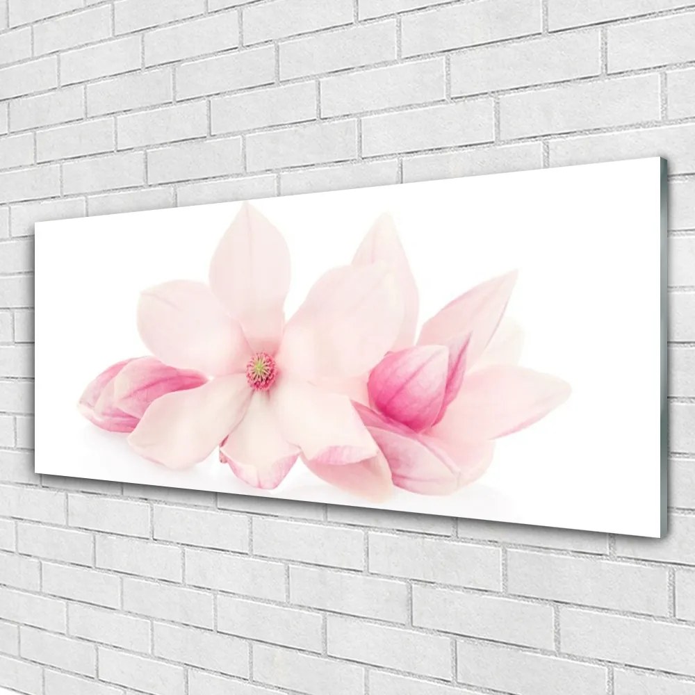 Obraz plexi Kvety plátky rastlina príroda 125x50 cm