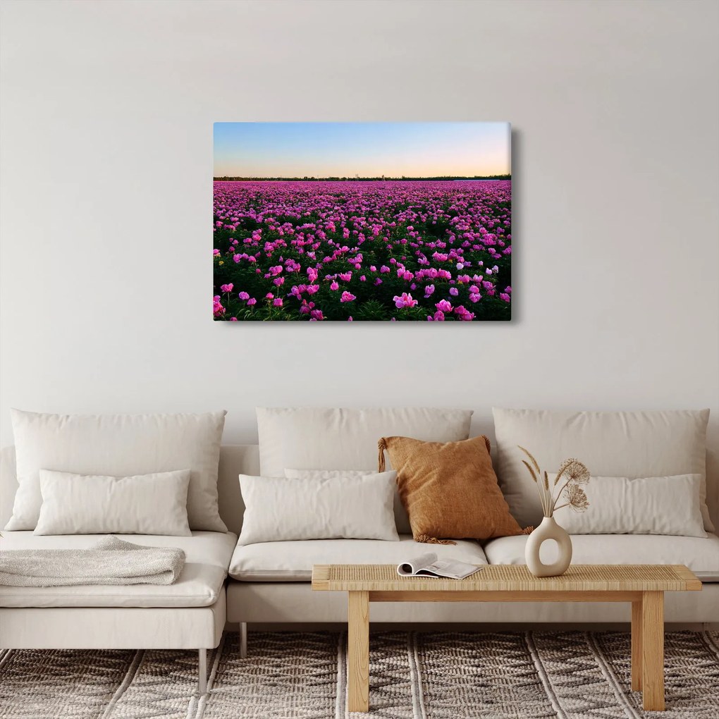 Obraz - Lúka fialových tulipánov (90x60 cm)