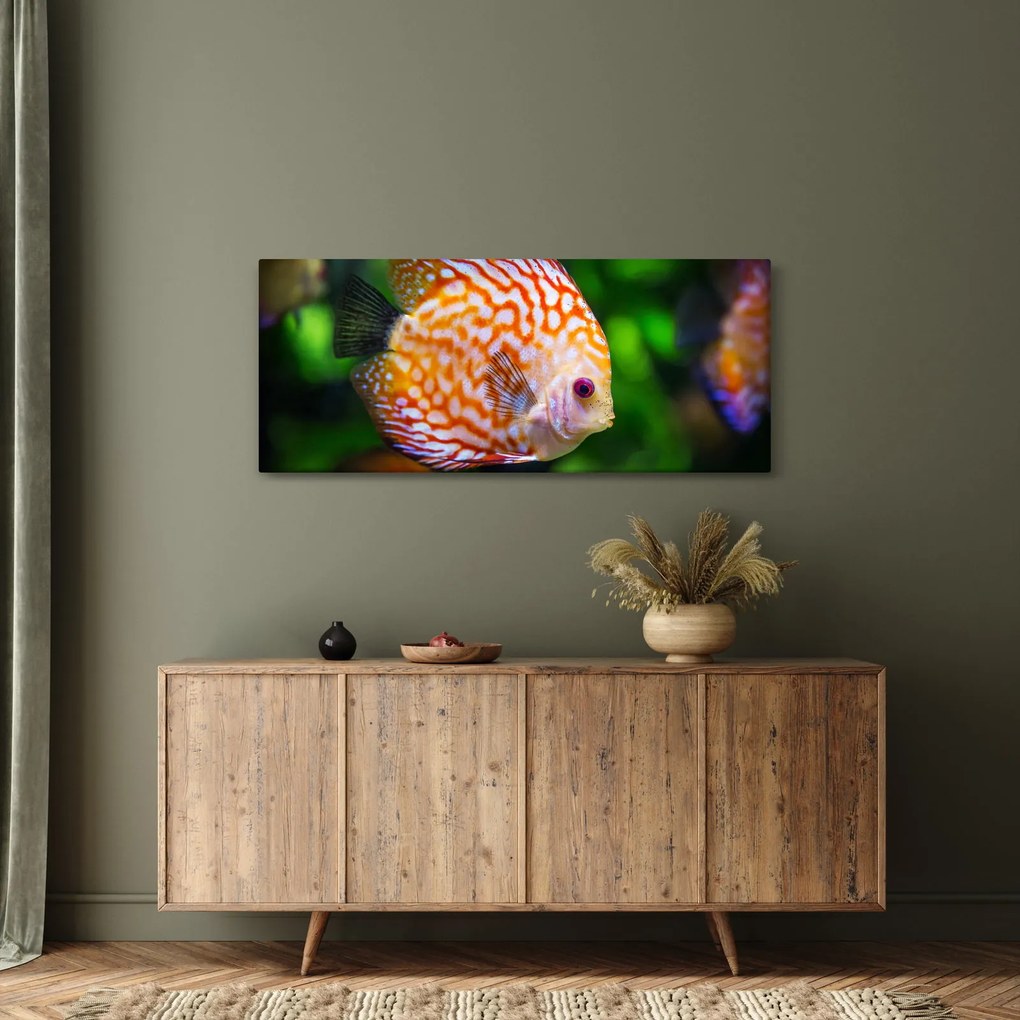 Obraz ryby (120x50 cm)