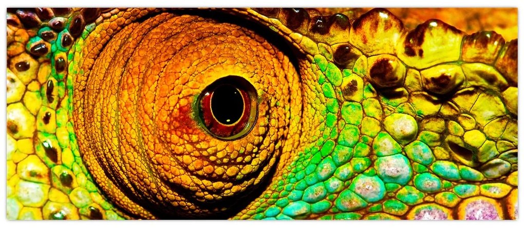 Obraz - Chameleon (120x50 cm)