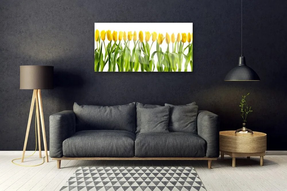 Skleneny obraz Tulipány kvety príroda 100x50 cm