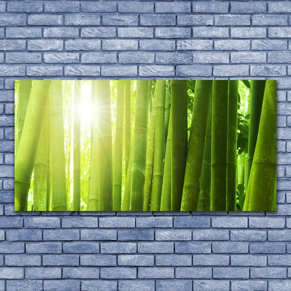 Obraz na akrylátovom skle Bambus rastlina 120x60 cm