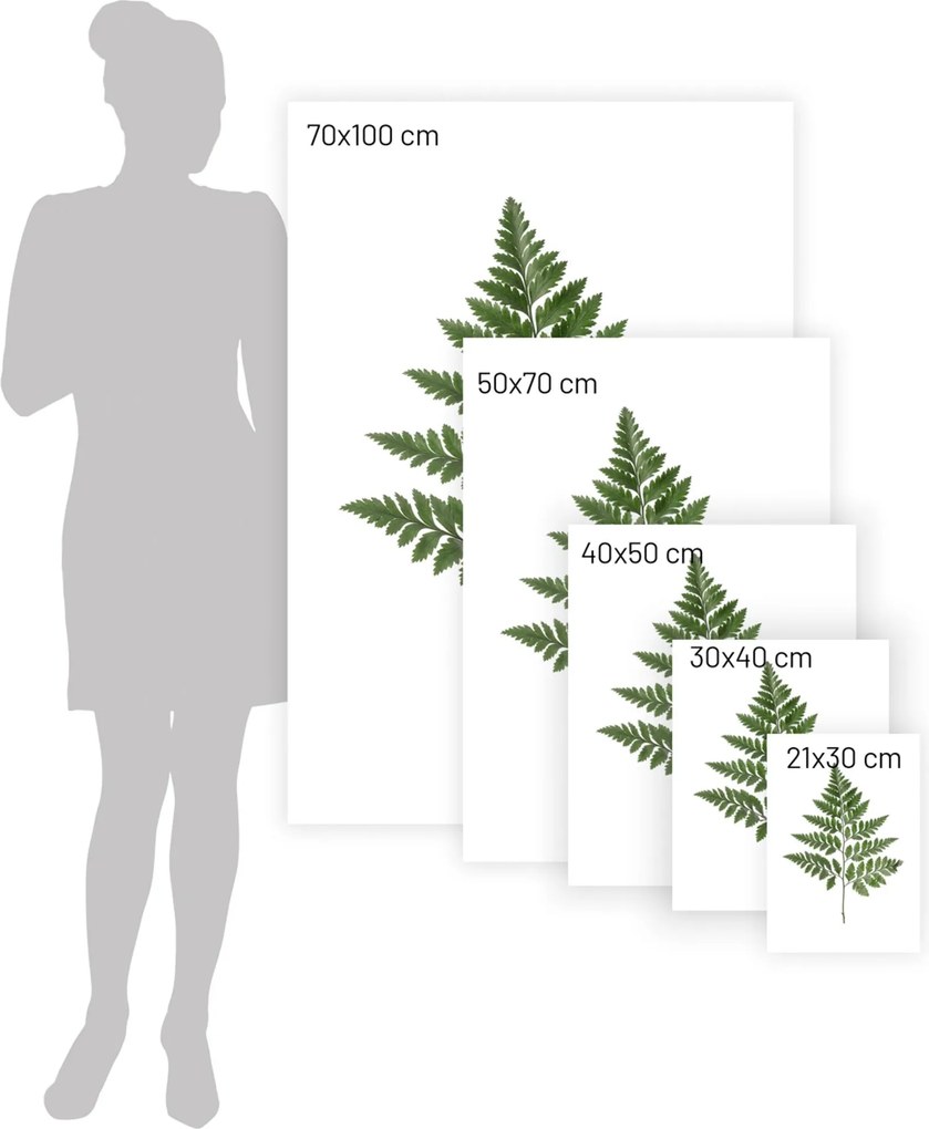 Plagát Fern Green