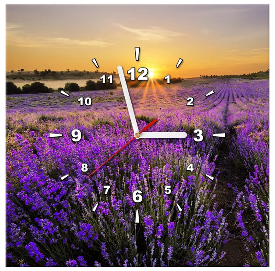 Gario Obraz s hodinami Levanduľové pole Rozmery: 30 x 30 cm