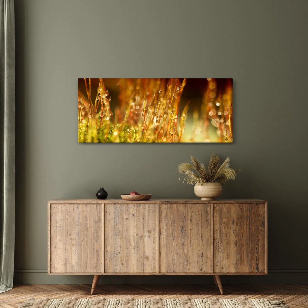 Obraz - Detail rosy (120x50 cm)