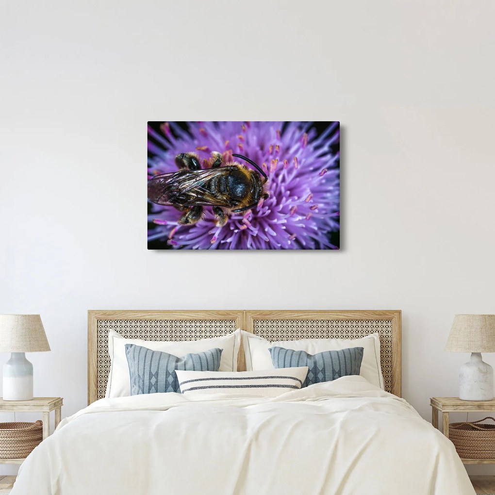 Obraz včely na kvetine (90x60 cm)