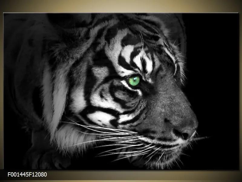 Obraz na plátne Tiger 2, Obdĺžnik 120x80cm 87,92 €