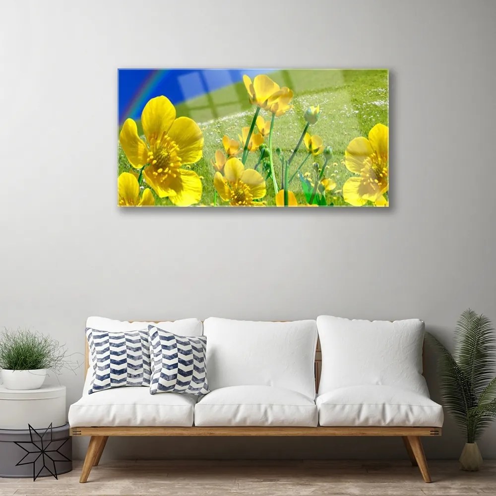 Obraz na skle Lúka kvety dúha príroda 140x70 cm