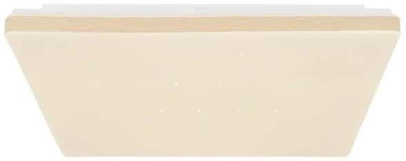 Globo 48025WSH - LED Stmievateľné stropné svietidlo LED/24W/230V Wi-Fi Tuya + DO