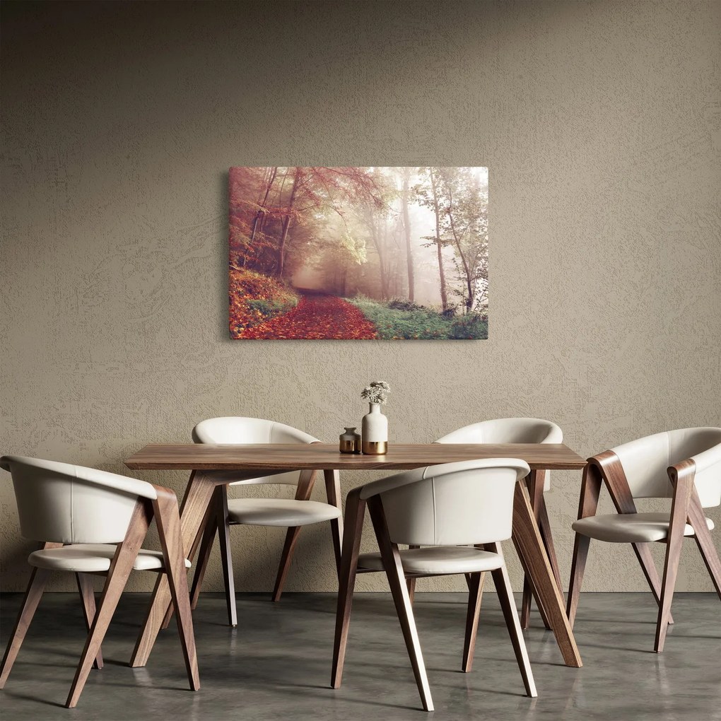 Obraz - Jesenná prechádzka lesom (90x60 cm)