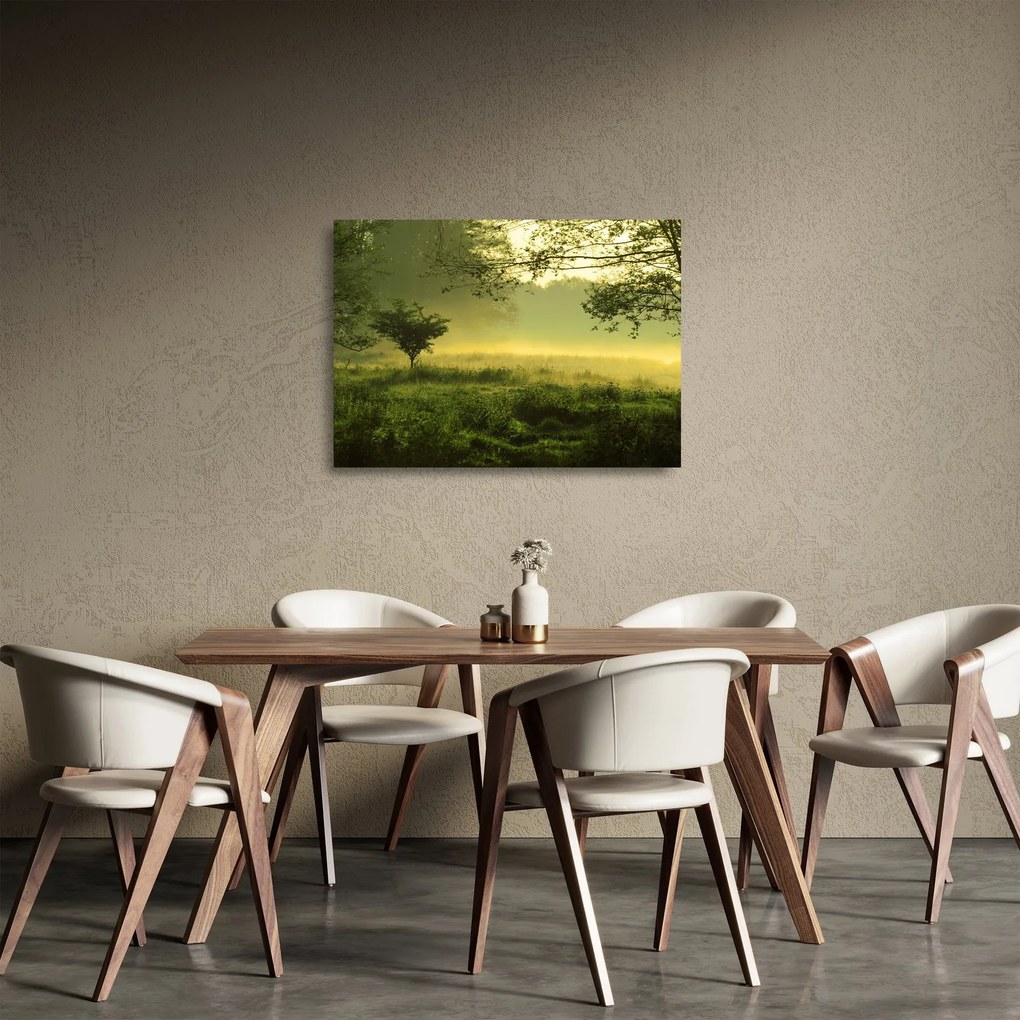 Sklenený obraz - Prebúdzajúci sa les (70x50 cm)