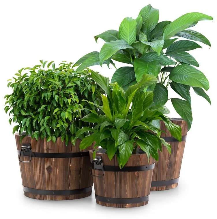 Trifloris, set 3 drevených kvetináčov z jedľového dreva, hnedá