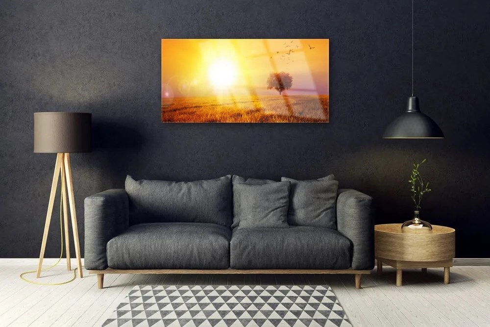 Skleneny obraz Západ slnka lúka plátky 140x70 cm