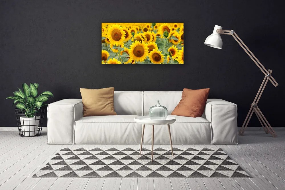 Obraz Canvas Slnečnica rastlina príroda 125x50 cm