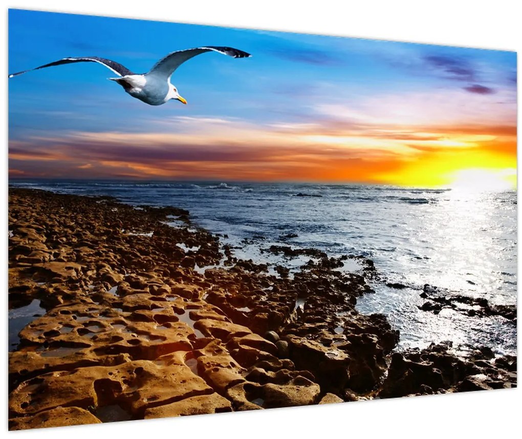 Obraz - Čajka letiaca nad pobrežím (90x60 cm)
