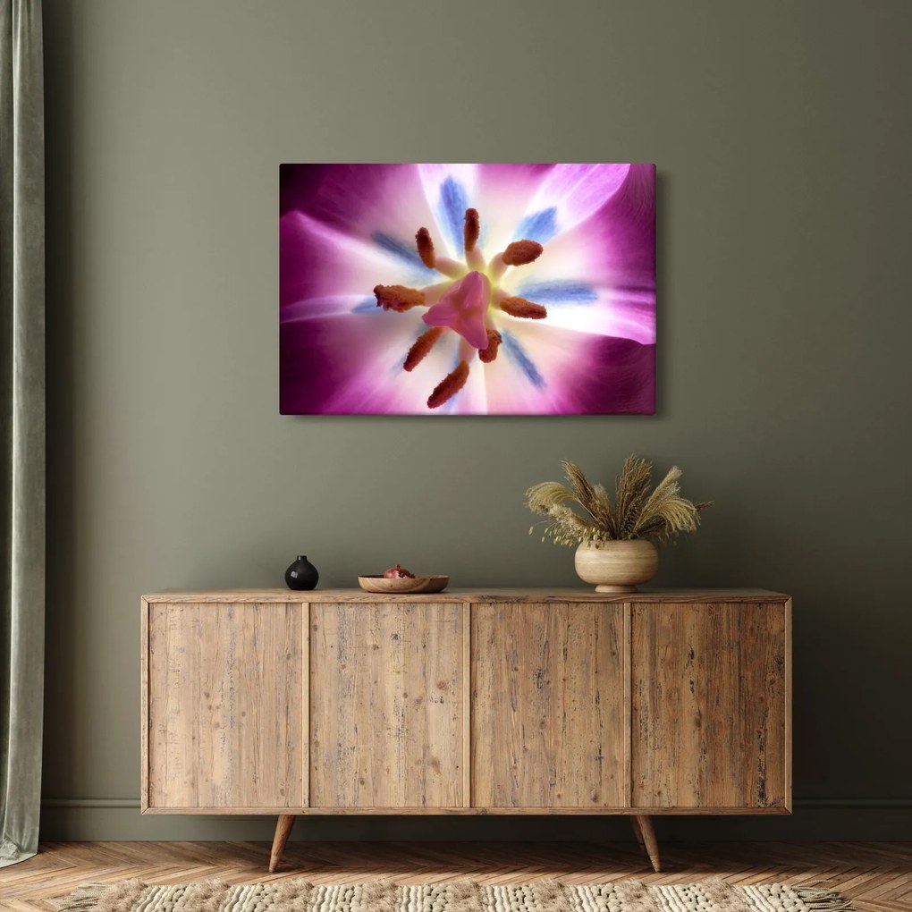 Obraz - Kvet tulipánu v detailu (90x60 cm)