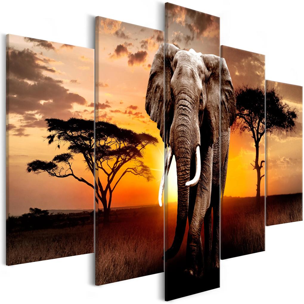 Artgeist Obraz - Wandering Elephant (5 Parts) Wide Veľkosť: 225x100, Verzia: Na talianskom plátne