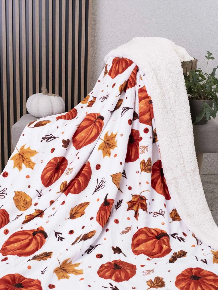 Baránková deka mikroplyš Exclusive 220 × 200 cm – Jesenná nálada