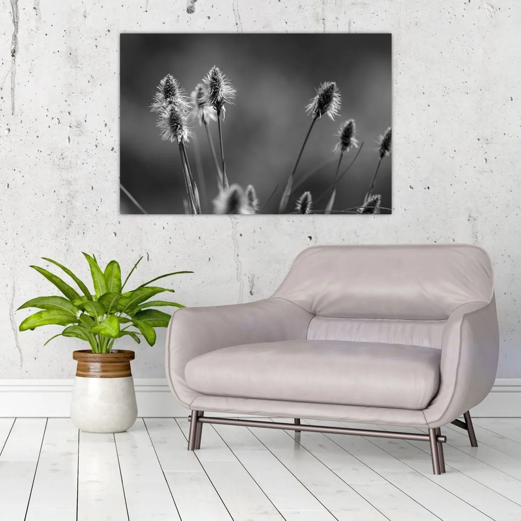 Obraz - Béžová soft grass N⁰2 (90x60 cm)
