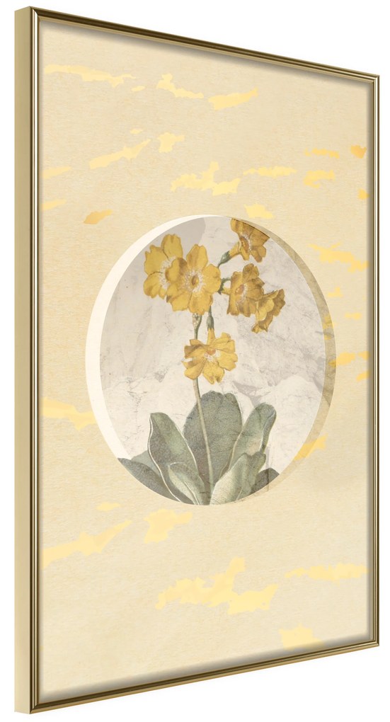 Artgeist Plagát - Flower In Circle [Poster] Veľkosť: 30x45, Verzia: Zlatý rám s passe-partout