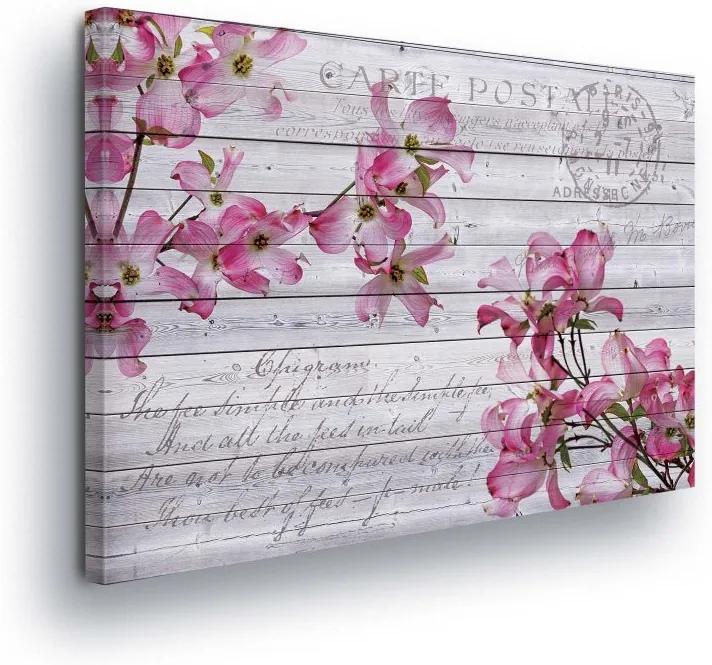 GLIX Obraz na plátne - Pink Flower 100x75 cm