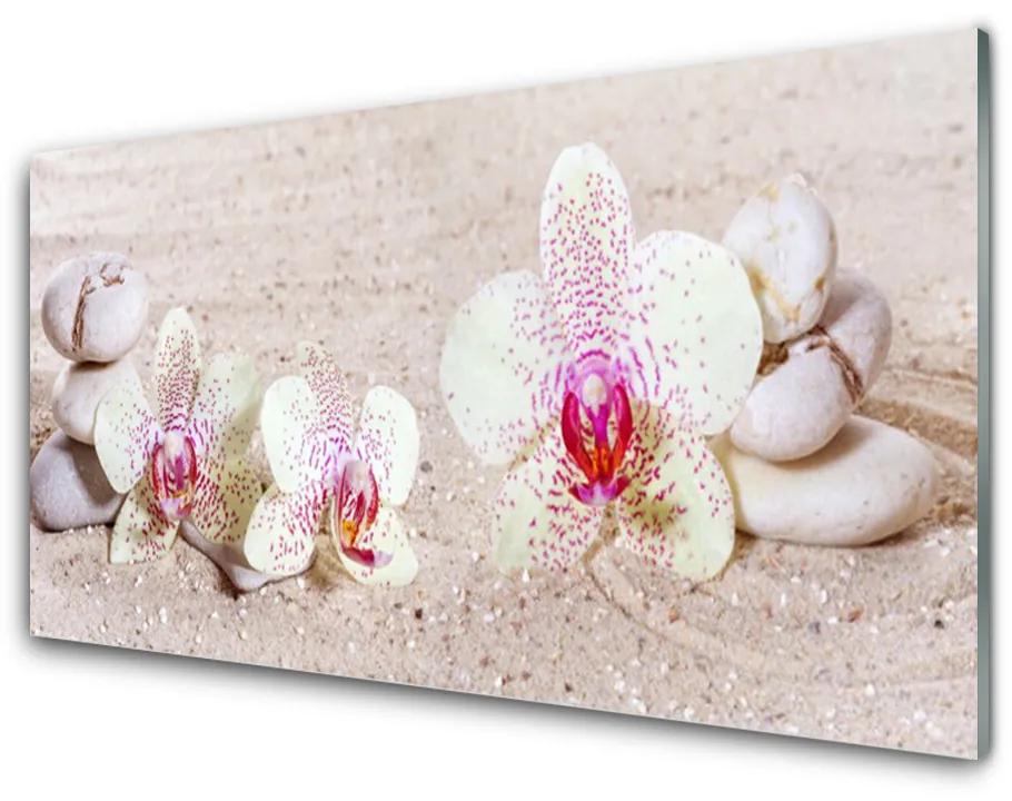 Sklenený obklad Do kuchyne Orchidea kamene zen písek 140x70 cm