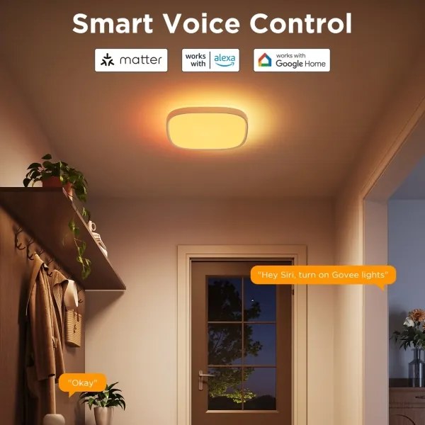 Govee - LED RGBIC Stmievateľné stropné svietidlo LED/24W/230V 2700-6500K Wi-Fi